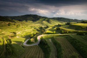 Germany, Kaiserstuhl, vineyards and hills in spring Germany, Kaiserstuhl, vineyards and hills in spring